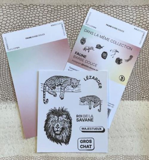 tampons transparents lion tigre félins kalc studio